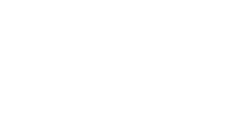 Performance Agentur